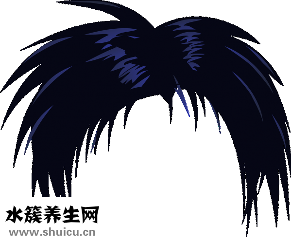 吃什么食物对头发好