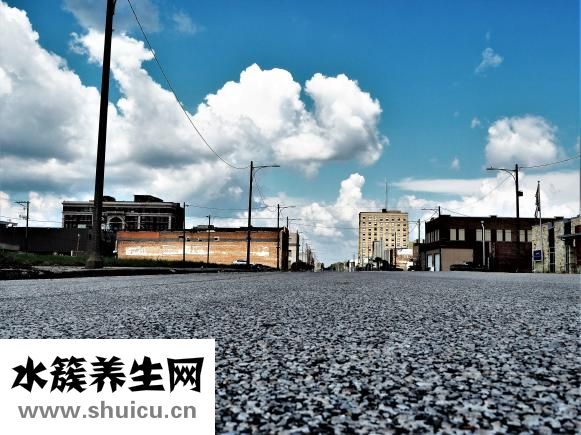 比乐天然粮怎么样