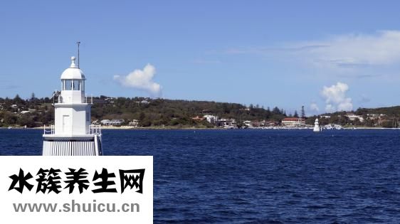 澳洲版爱他美怎么样