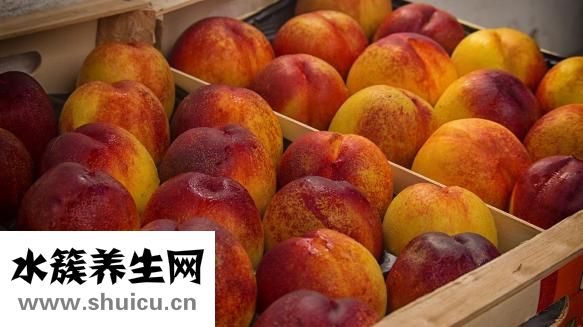 新洲人怎么样