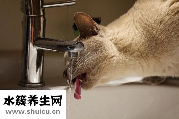 如何煮螃蟹