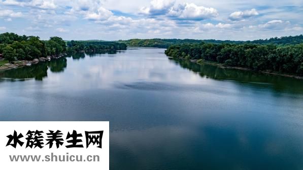中江丹参茶怎么样