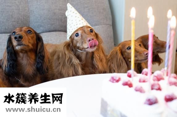一路人箱怎么样