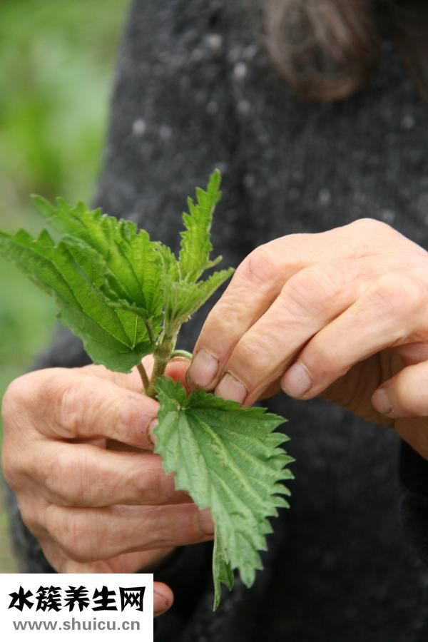 花印药用美白怎么样三种方法可参考！