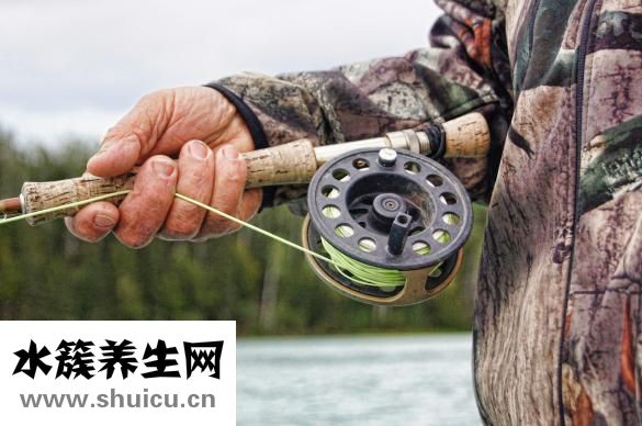美纶丝怎么样