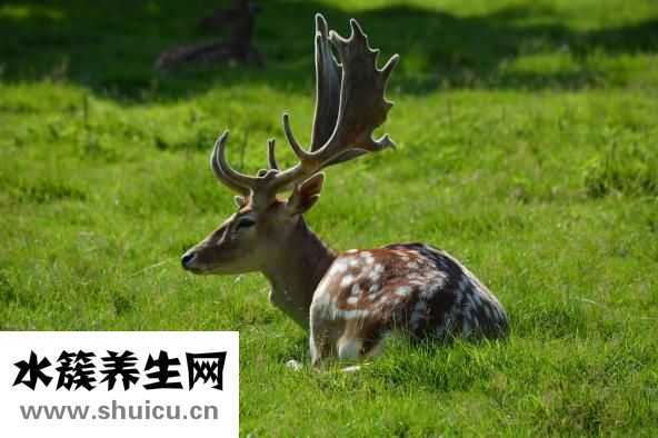 同济王常玉怎么样