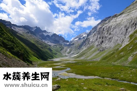 中华脑通效果怎么样