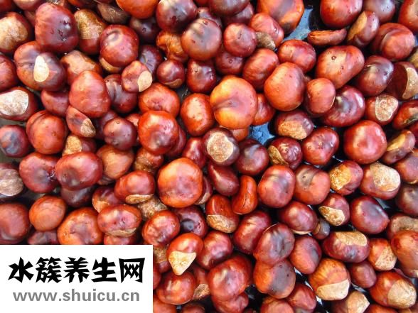 板栗怎么保存