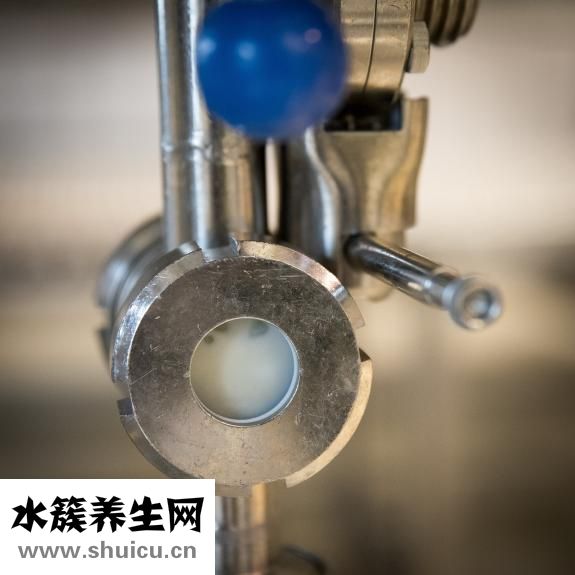 晨光牛奶品质怎么样