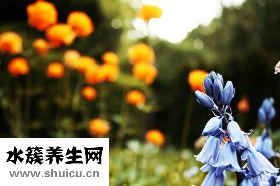 怎么样才能捡到玉石