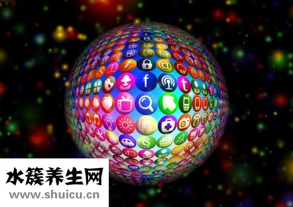 三洋骨盆带怎么样