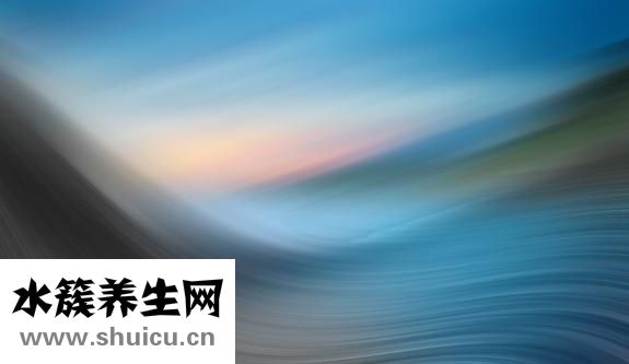 怎么样坚持运动