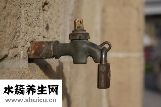 美宝琪怎么样
