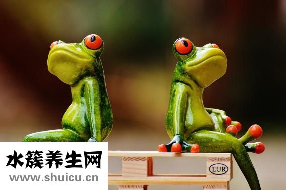 负离子造型梳怎么样