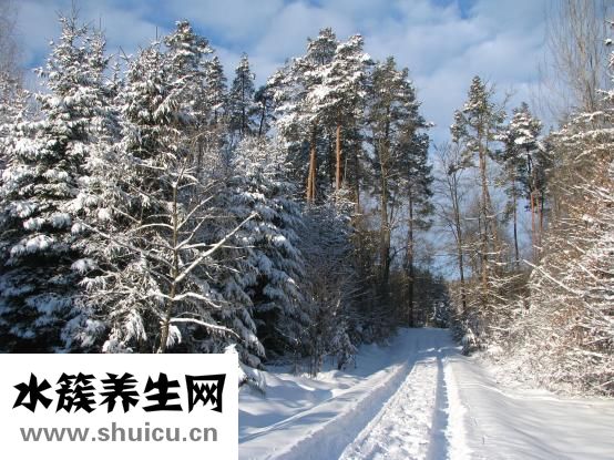 达芙妮雪地靴怎么样