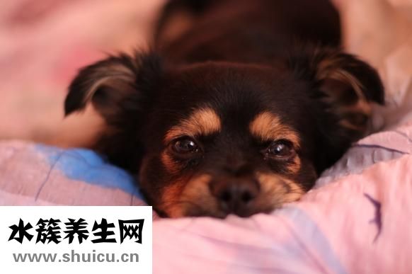 一路人箱怎么样