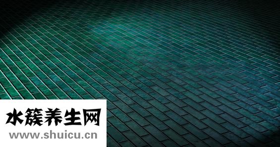 怎么样才能减肚子