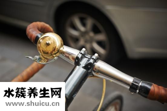 老年人吃什么补品好