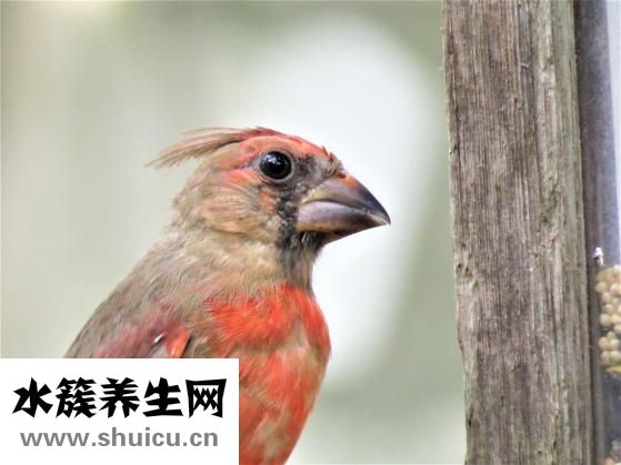 一路人箱怎么样