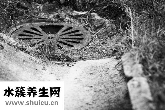 如何减去身体水分（如何喝水减肥才是正确的）
