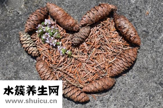 纪元养胃茶怎么样