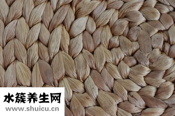 牛角松筋怎么样