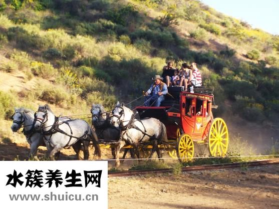 老是胡思乱想怎么办