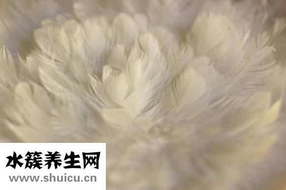 康衣儿羽绒服怎么样