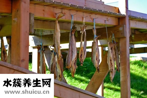 苯胺是什么