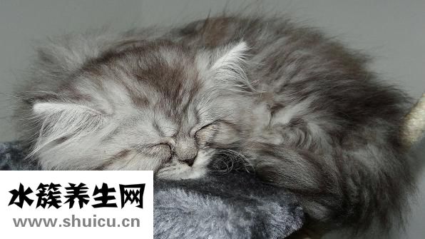 欧格男装怎么样