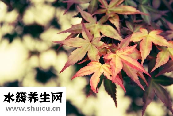 小便赤黄是怎么回事