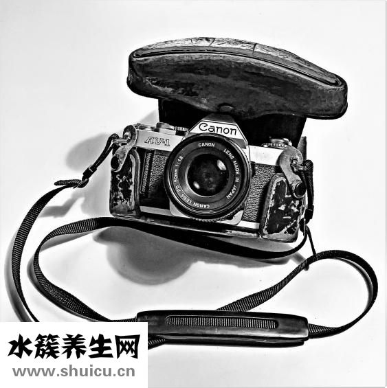 宋小宝得了什么病