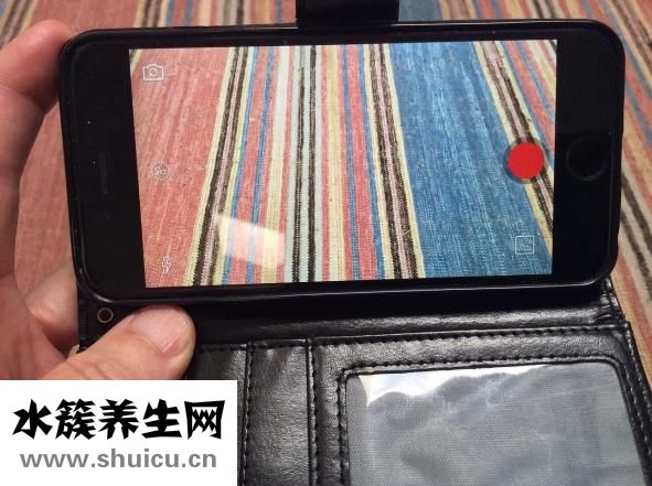 烧龙虾怎么样烧