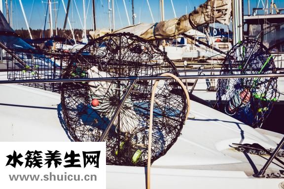 吃螃蟹过敏怎么办