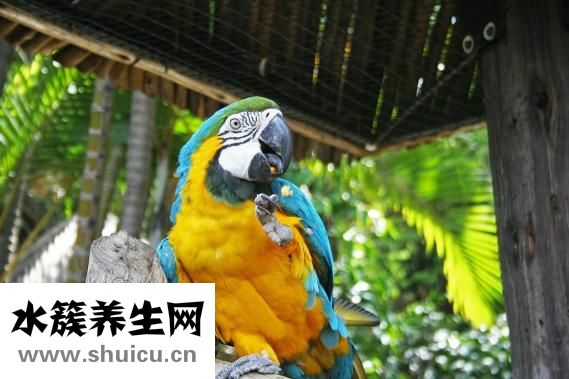 安溪女孩子怎么样