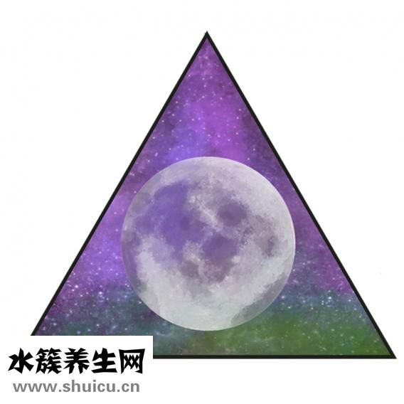春节送礼送什么好