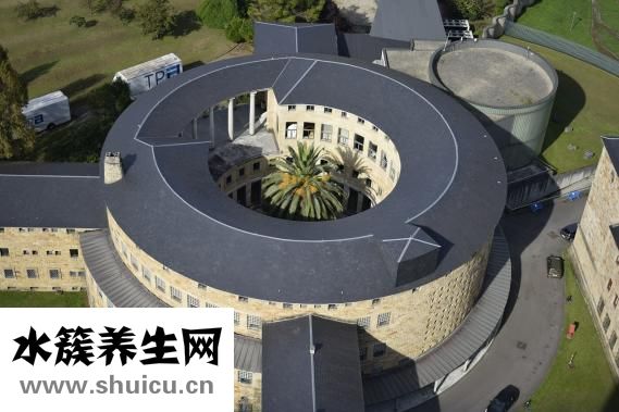 杰士邦自由派怎么样