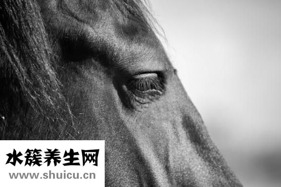 嗳呵护臀膏怎么样