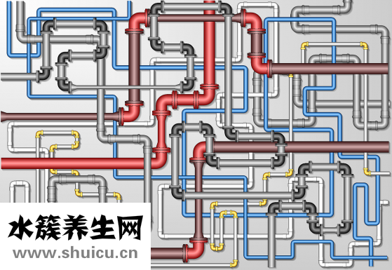 法兰茜丝怎么样