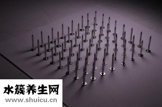 法兰茜丝怎么样