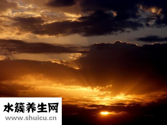 怎么样去除味道