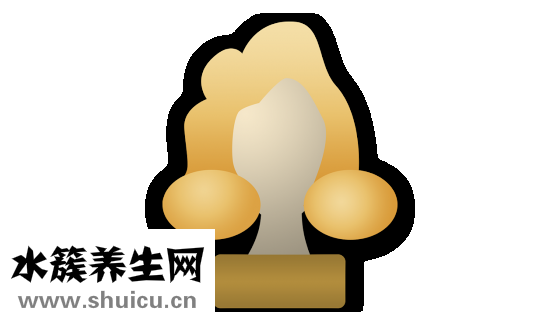 压力大掉头发怎么办
