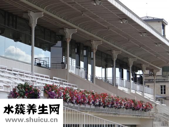 陶丝沐浴露怎么样