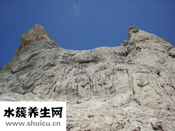 杰士邦自由派怎么样