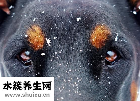 什么叫丹凤眼