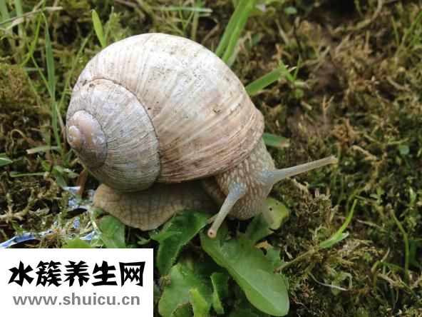 红包包多少