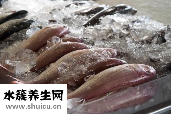 百仕高鱼肝油怎么样
