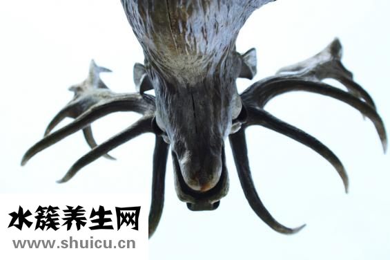 牧鹿服饰怎么样