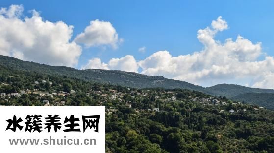 朱梓骁为什么消失了