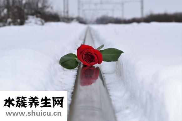 金牛男的性怎么样